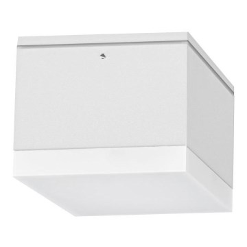 LED Venkovní stropní svítidlo BRUNO LED/10W/230V IP54