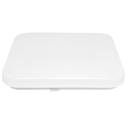 LED Venkovní stropní svítidlo LUKA LED/20W/230V IP44