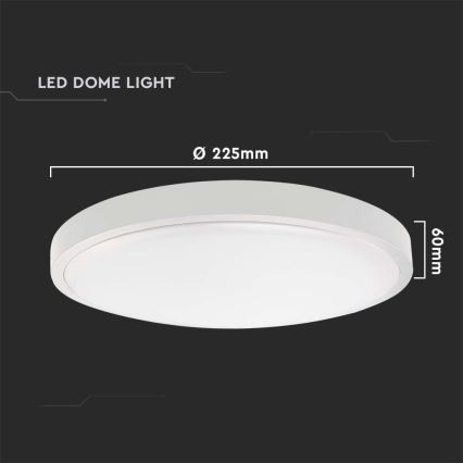 LED Venkovní stropní svítidlo se senzorem LED/18W/230V 6500K IP44 bílá