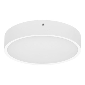 LED Venkovní stropní svítidlo se senzorem MARTIN LED/15W/230V 3000/4000K pr. 30 cm IP65 bílá