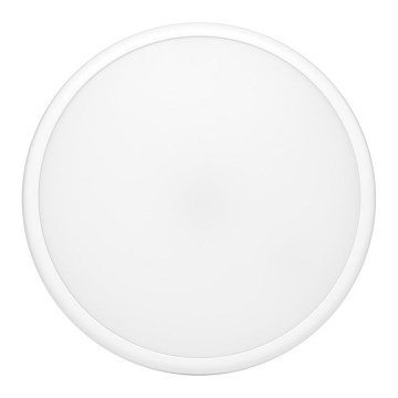 LED Venkovní stropní svítidlo se senzorem MOVA LED/16W/230V IP65