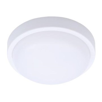 LED Venkovní stropní svítidlo SIENA LED/13W/230V pr. 17 cm IP54 bílá