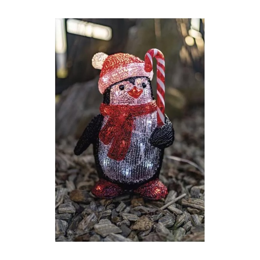 LED Venkovní vánoční dekorace 30xLED/2,25W/4,5/230V IP44 studená bílá