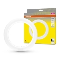 LED Zářivková trubice G10q/11W/230V 3000K - Osram