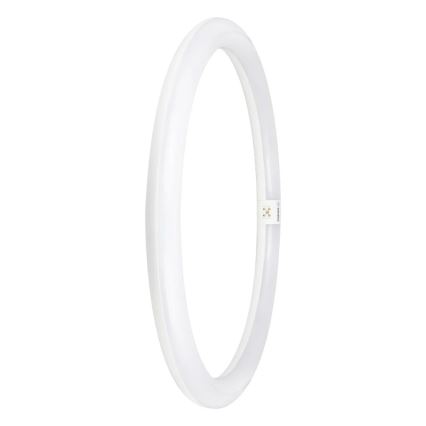 LED Zářivková trubice G10q/24W/230V 6500K - Osram