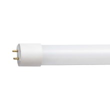 LED Zářivková trubice G13/10W/230V 4000K 60 cm