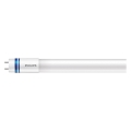 LED Zářivková trubice Philips MASTER T8 G13/14W/80V 6500K 120 cm