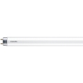 LED Zářivková trubice Philips MASTER T8 G13/6W/110V 4000K 45 cm