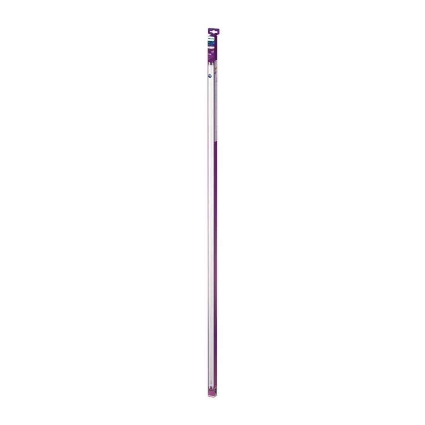 LED Zářivková trubice Philips T8 G13/19,5W/230V 3000K 150 cm
