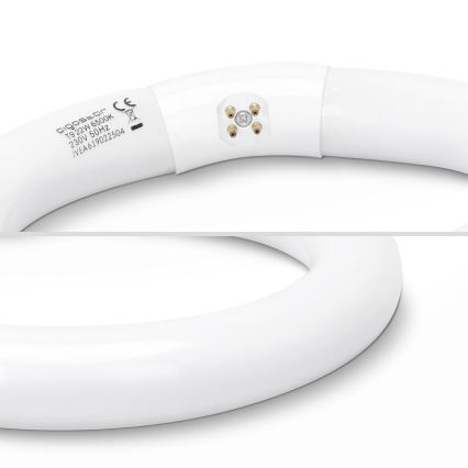 LED Zářivková trubice T9 G24q-1/22W/230V 6500K - Aigostar