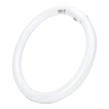 LED Zářivková trubice T9 G24q-1/32W/230V 6500K - Aigostar