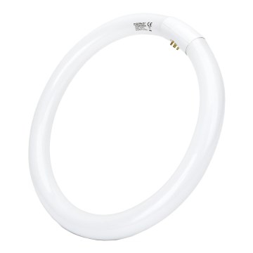 LED Zářivková trubice T9 G24q-1/32W/230V 6500K - Aigostar