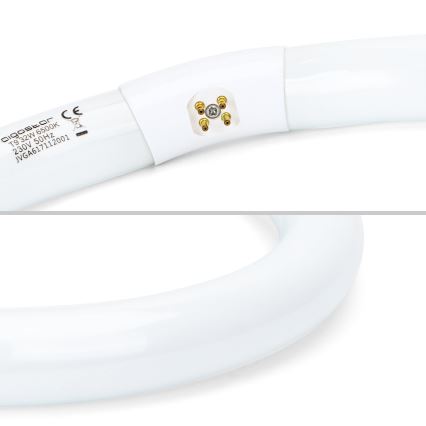 LED Zářivková trubice T9 G24q-1/32W/230V 6500K - Aigostar
