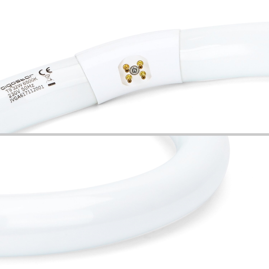 LED Zářivková trubice T9 G24q-1/32W/230V 6500K - Aigostar