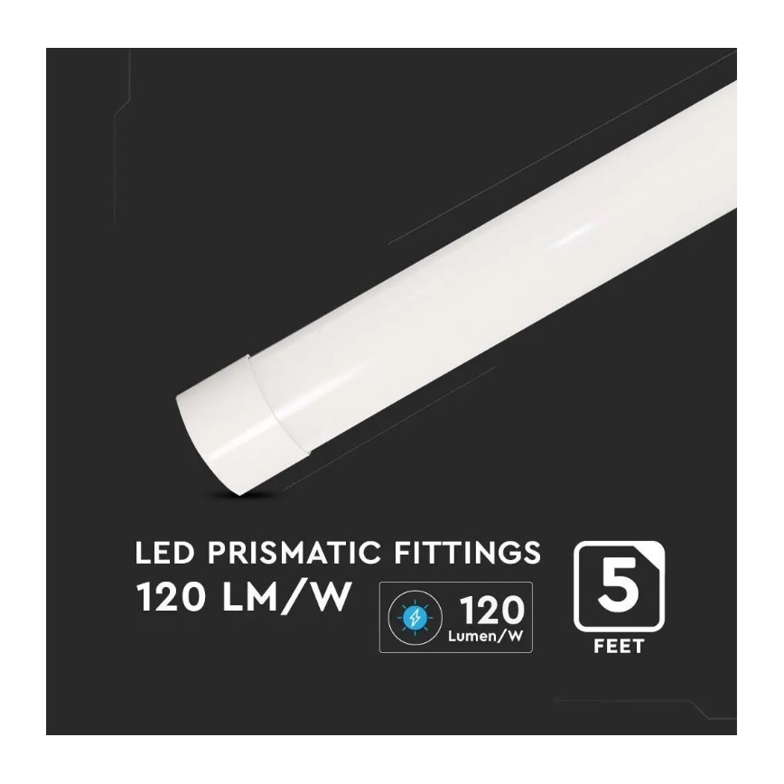 LED Zářivkové svítidlo SAMSUNG CHIP LED/50W/230V 6500K 150 cm