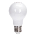 LED Žárovka A60 E27/8W/230V 6500K - Aigostar