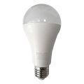 LED Žárovka A65 E27/18W/230V 4200K