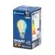 LED Žárovka FILAMENT G45 E27/4,5W/230V 2700-6500K - Aigostar