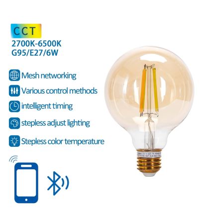LED Stmívatelná žárovka FILAMENT MESH Smart G95 E27/6W/230V 2700-6500K - Aigostar