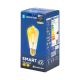 LED Žárovka FILAMENT ST64 E27/6W/230V 2700-6500K - Aigostar