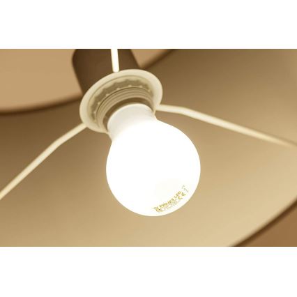 LED Žárovka Philips E27/4,5W/230V 2700K