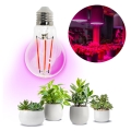 LED Žárovka pro růst rostlin VITABLOOM E27/8W/230V 1200K - Brilagi