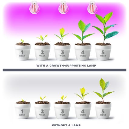 LED Žárovka pro růst rostlin VITABLOOM E27/8W/230V 1200K - Brilagi