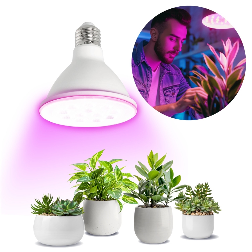 LED Žárovka pro růst rostlin VITABLOOM E27/9W/230V 1200K bílá - Brilagi