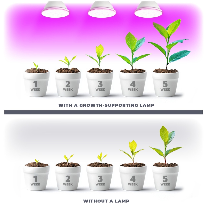 LED Žárovka pro růst rostlin VITABLOOM E27/9W/230V 1200K bílá - Brilagi