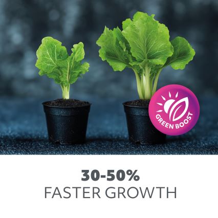 LED Žárovka pro růst rostlin VITABLOOM E27/9W/230V 1200K bílá - Brilagi