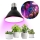 LED Žárovka pro růst rostlin VITABLOOM E27/9W/230V 1200K černá - Brilagi
