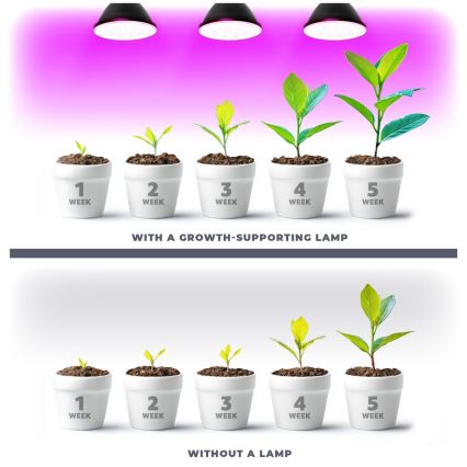 LED Žárovka pro růst rostlin VITABLOOM E27/9W/230V 1200K černá - Brilagi