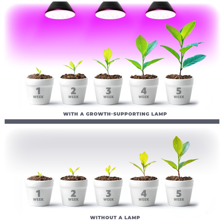 LED Žárovka pro růst rostlin VITABLOOM E27/9W/230V 1200K černá - Brilagi