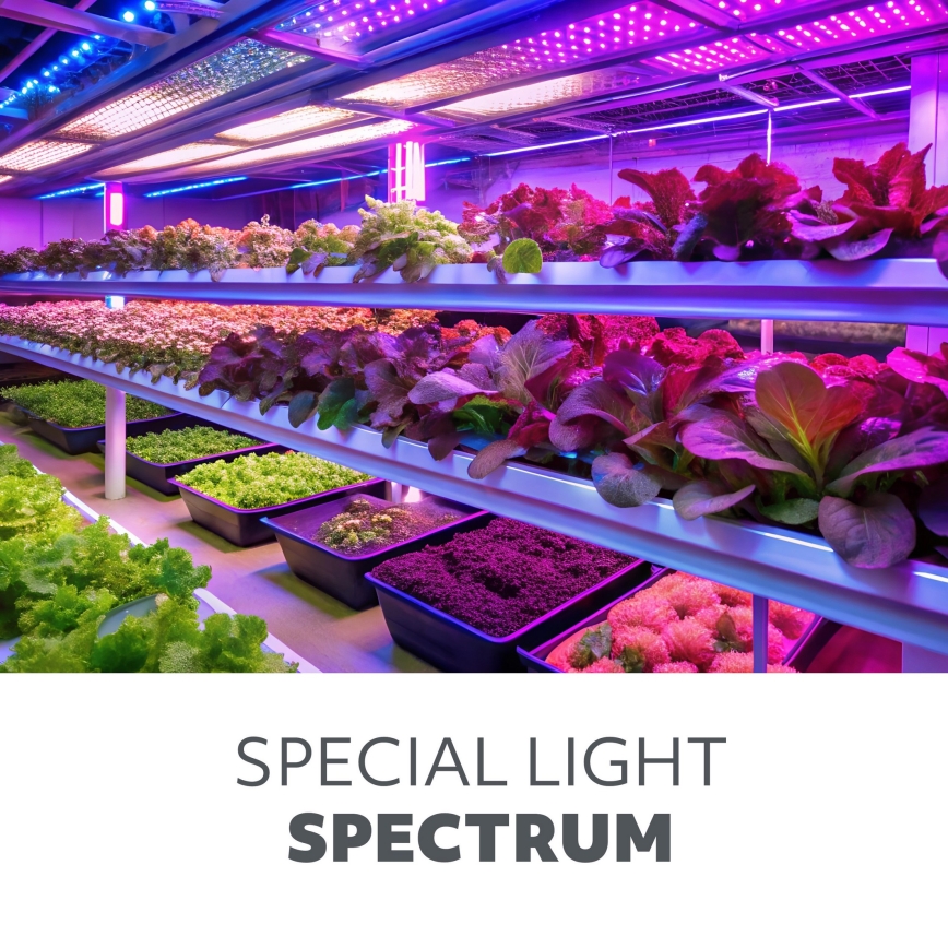 LED Žárovka pro růst rostlin VITABLOOM E27/9W/230V 1200K černá - Brilagi