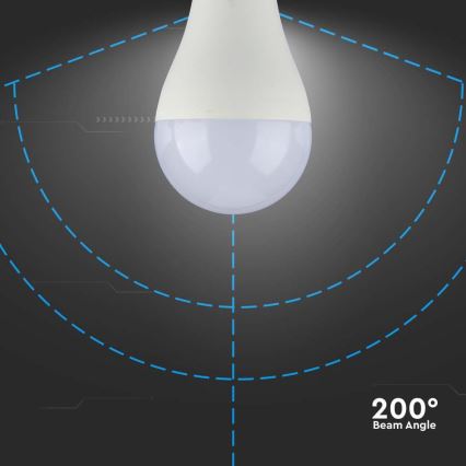 LED Žárovka SAMSUNG CHIP A65 E27/17W/230V 6500K