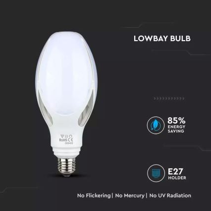 LED žárovka SAMSUNG CHIP E27/36W/230V 6500K