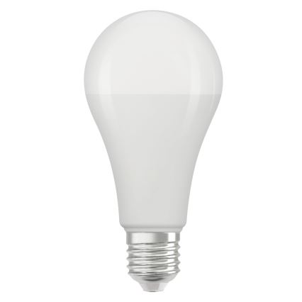 LED Žárovka STAR E27/19W/230V 6500K - Osram