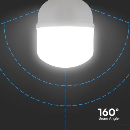 LED Žárovka T160 E27/60W/230V 6500K