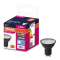 LED Žárovka VALUE PAR16 GU10/6,9W/230V 6500K 36° černá - Osram