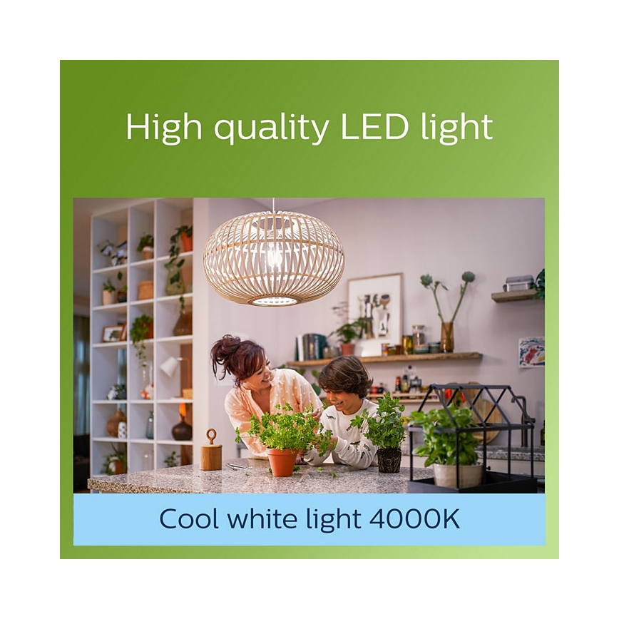 LED Žárovka VINTAGE Philips A60 E27/2,3W/230V 4000K