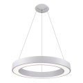 LED2 - LED Lustr na lanku SATURN LED/50W/230V 3000/4000K bílá