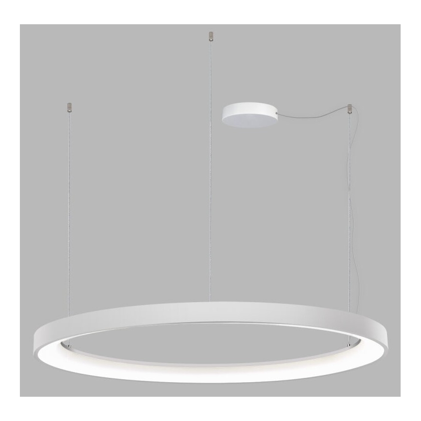 LED2 - LED Stmívatelný lustr na lanku BELLA LED/80W/230V 3000K/4000K bílá