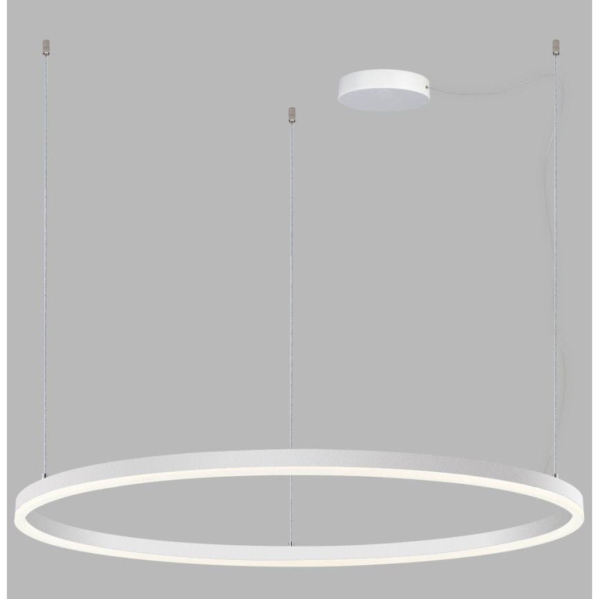 LED2 - LED Stmívatelný lustr na lanku SATURN LED/80W/230V pr. 100 cm bílá