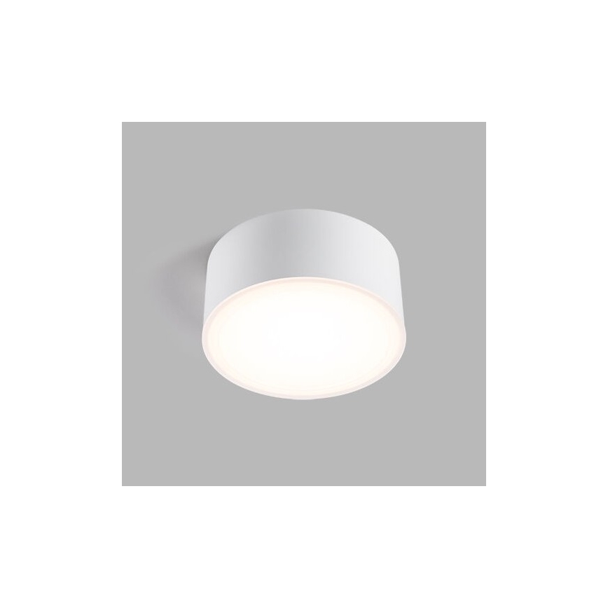 LED2 - LED Stropní svítidlo BUTTON LED/12W/230V CRI 90 bílá