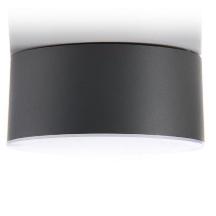 LED2 - LED Stropní svítidlo BUTTON LED/17W/230V antracit