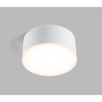 LED2 - LED Stropní svítidlo BUTTON LED/17W/230V bílá