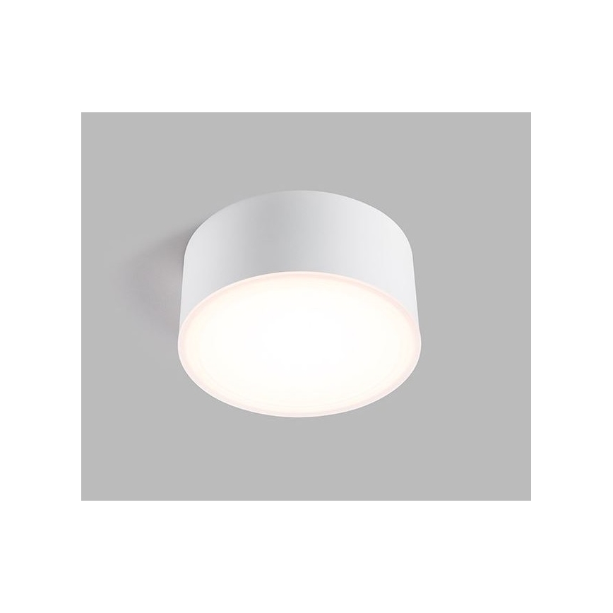LED2 - LED Stropní svítidlo BUTTON LED/17W/230V bílá