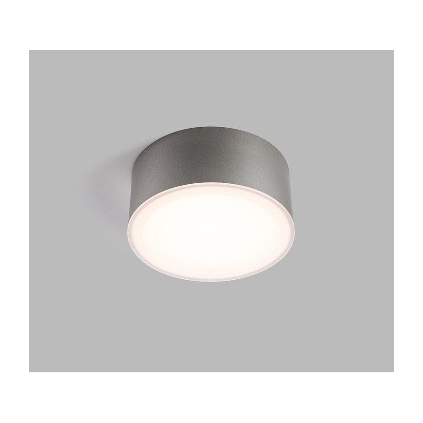 LED2 - LED Stropní svítidlo BUTTON LED/17W/230V stříbrná