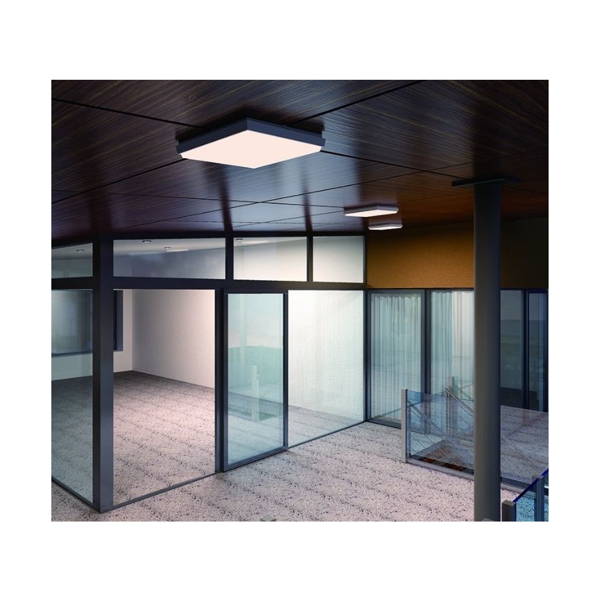 LED2 - LED Stropní svítidlo QUADO LED/25W/230V IP54 hranatý