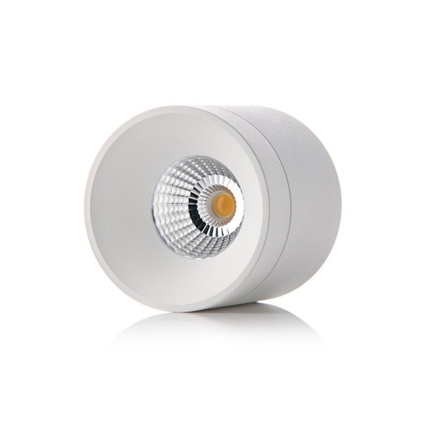 LED2 - LED Stropní svítidlo TINY LED/8W/230V bílá